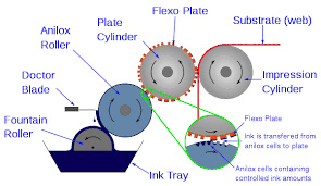 Flexographic Printing Press Diagram
