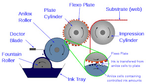 Flexographic Printing Press Diagram, flexographic printer, flexographic printing, Printing, label printing, flexographic printing machine, flexo printing, printing machine, digital printing, Flexo, printing plate, anilox roll, Plate, digital label printing, offset printing, Packaging, Label, printing process, plate cylinder, flexo press, flexographic printing press, ink, flexible packaging, flexographic printing process, printing press,flexo printing press, printing method, Substrate, flexographic press, impression cylinder,Flexography,Printers, photopolymer plate, custom labels, flexo printing plate, flexographic plate, flexo plate, lithographic printing, plate sleeve, flexible plate, uv ink, flexible printing plate, Roll, high quality, anilox roller, flexible photopolymer printing plates, water based ink, Material, substrate material, metallic film 